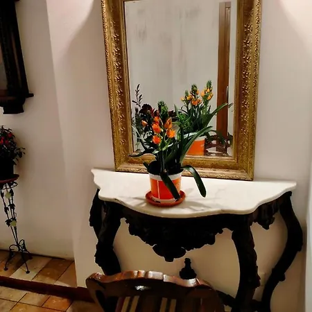 아파트 Casa Maria Grazia Tipico Del Centro Storico Di Ad Un Passo Da Piazza Del Campo 시에나
