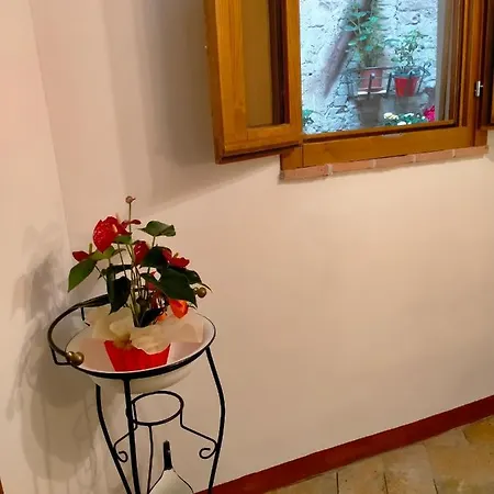 Casa Maria Grazia Tipico Del Centro Storico Di Ad Un Passo Da Piazza Del Campo Apartment
