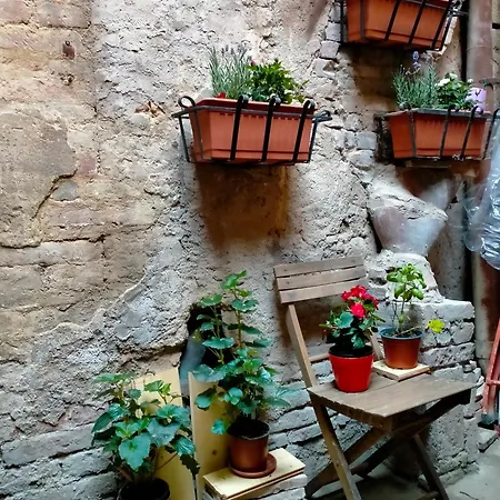 Casa Maria Grazia Tipico Del Centro Storico Di Ad Un Passo Da Piazza Del Campo *